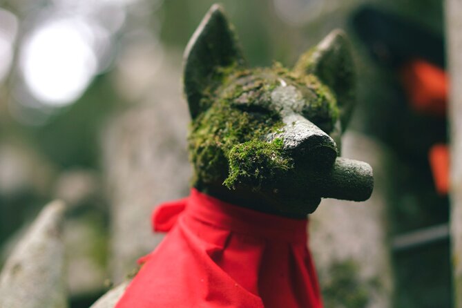 1-Day Kyoto and Nara Highlights Day Trip with a Private Car - Nara Lunch and the Deer Time Budget