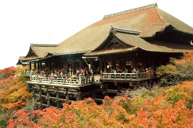 10 Must-see Spots in Kyoto One Day Private Tour (up to 7 people) - Fushimi Inari Taisha Torii gates, with time to find your rhythm