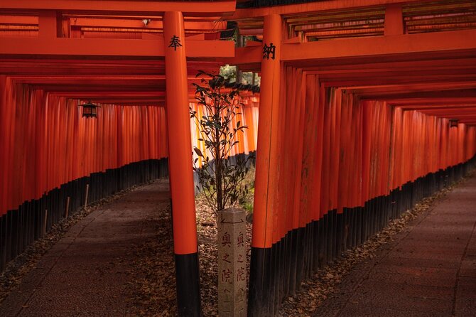 10 Must-see Spots in Kyoto One Day Private Tour (up to 7 people) - Kiyomizu-dera and the Sannenzaka lanes: temples plus street atmosphere
