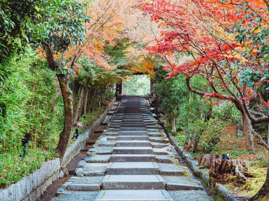 [2.3km / 1.43mi] Kyoto East Early Morning Walking Tour - Quick hits before you go