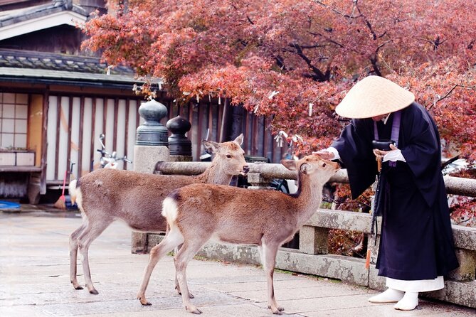 3 Days Private Osaka Kyoto and Nara Tour With English Driver - How Private Pickup and an English Driver Changes Your Osaka Kyoto Nara Plan