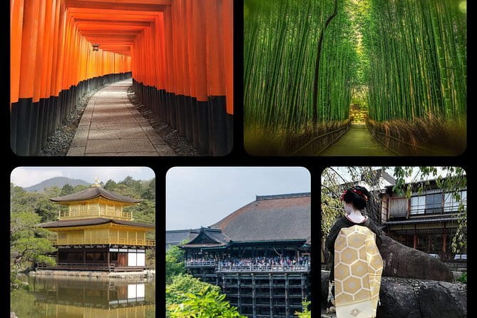 4 Hours Arashiyama and Arashiyama Monkey Park Tour - Who This Tour Fits Best