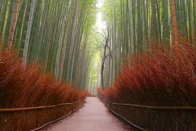 5 Top Highlights of Kyoto Full Day Bike Tour (E-bike option) - Stop 1, Bamboo Forest Street: the sound and the vibe