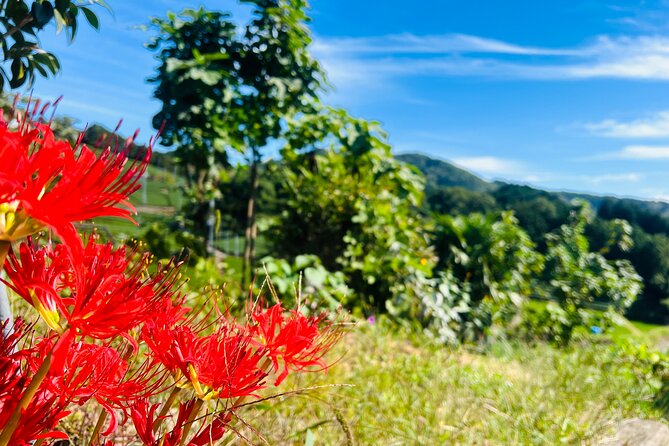 7hr Private Wazuka True Hidden Kyoto Matcha Farm Experience - Pickup, Mobile Ticket, and a Private Half-Day Flow