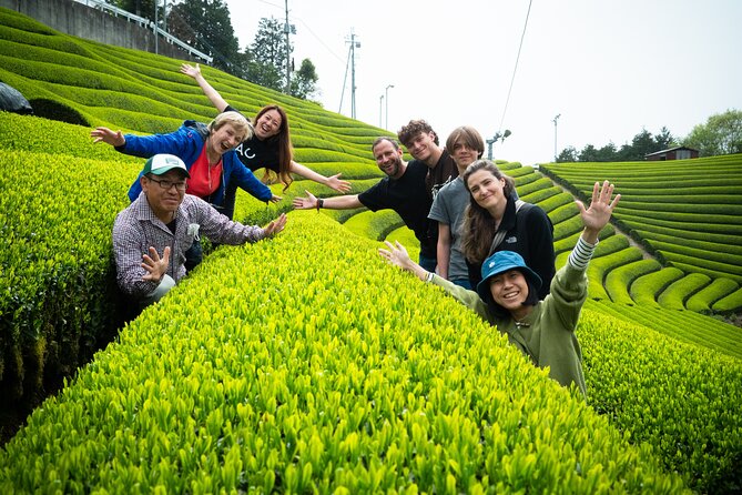 7hr Private Wazuka True Hidden Kyoto Matcha Farm Experience - The Matcha Lunch Set and Tastings That Teach Your Tongue