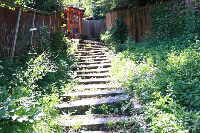 ALL INCLUDED:Short Exclusive Hidden Kyoto Private Tour with Local - Who This Private Kyoto Tour Is Best For