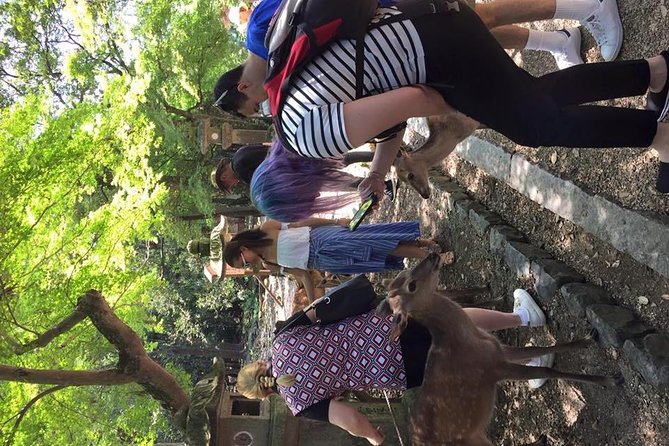 All must-sees in 3 hours - Nara Park Classic Tour! From JR Nara! - Who Should Book This Nara Park Classic Tour, and Who Might Skip It