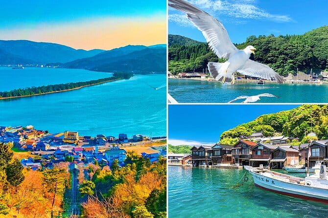 Amanohashidate & Ine Boathouse Full-Day Tour from Kyoto or Osaka - Picking the Right Meeting Point: Osaka Versus Kyoto Timing