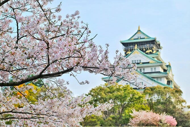 Amanohashidate & Ine Boathouse Full-Day Tour from Kyoto or Osaka - Boat Ride in Ine: When You Add $9, You Buy Perspective