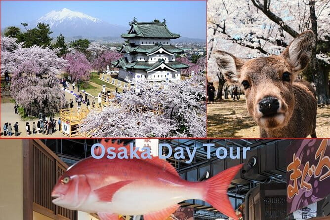 Amanohashidate & Ine Boathouse Full-Day Tour from Kyoto or Osaka - How the Bus Day Feels: Group Size, Guide Style, and the Pace Tradeoff