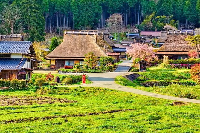 Amanohashidate & Ine Funaya Kyoto coast day trip from Osaka/Kyoto - Stop Two: Chion-ji Temple for Wisdom and Academic Success