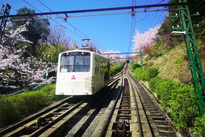 Amanohashidate & Miyama 1-Day Bus Tour: From Osaka/Kyoto w/ Lunch - Price and value: what you are really paying for