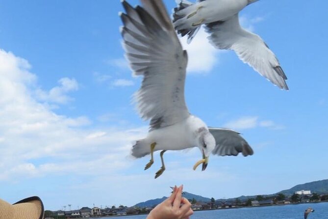 Amanohashidate & Miyama 1-Day Bus Tour: From Osaka/Kyoto w/ Lunch - The bus ride, the group, and why your timing matters