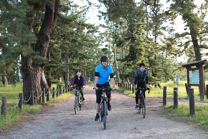 Amanohashidate Sand bar & culture e-bike tour - Why Amanohashidate by e-bike feels different than walking