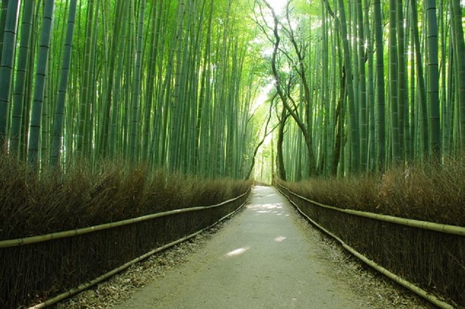 Ancient Capital Tour: Kyoto and Nara Highlights from Kyoto/Osaka - Who this tour fits best