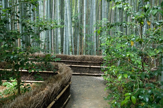 Arashiyama Bamboo Forest E-Biking Tour - Why this Arashiyama e-bike route beats walking