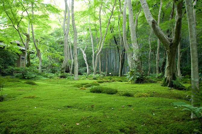 Arashiyama Bamboo Forest E-Biking Tour - Otagi Nenbutsu-ji Temple: the quiet start with comic energy