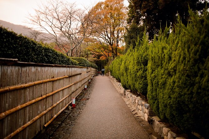 Arashiyama Bamboo Forest E-Biking Tour - Toji-in Temple moss time: where the ride turns contemplative
