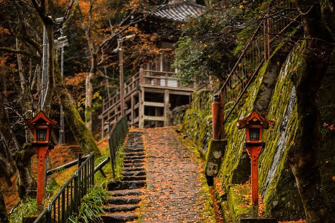 Arashiyama Bamboo Forest E-Biking Tour - Bamboo Forest Trail at Arashiyama: photos, crowds, and the best strategy