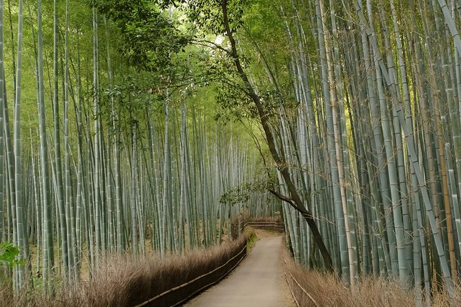 Arashiyama Bamboo Forest E-Biking Tour - The 25 km ride itself: city edges, countryside pace, and hills