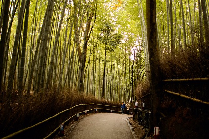 Arashiyama Bamboo Forest E-Biking Tour - Price and value: what you really get for $116