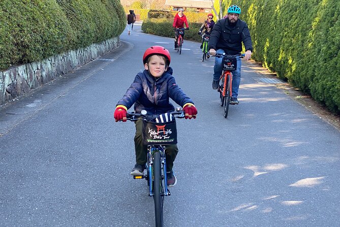 Arashiyama Bamboo Forest Family Bike Tour ( Infants & Kids ) - Stop 1: Monkey Park Iwatayama, monkeys and big city views