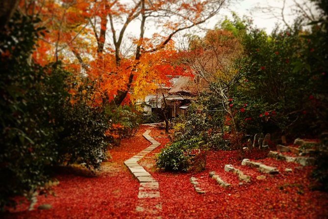 Arashiyama Bamboo Forest & Hidden Gems Bike Tour (Early Bird) - The guide factor: what you get from a bilingual local morning