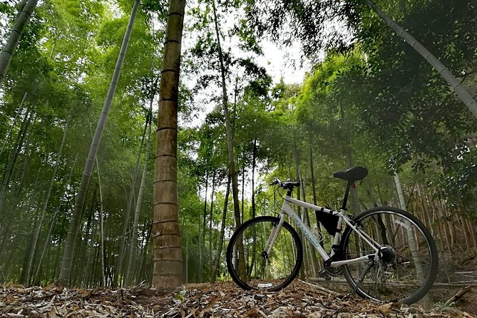 Arashiyama Bamboo Forest & Hidden Gems Bike Tour (Early Bird) - Pricing, value, and who this early bike tour suits best