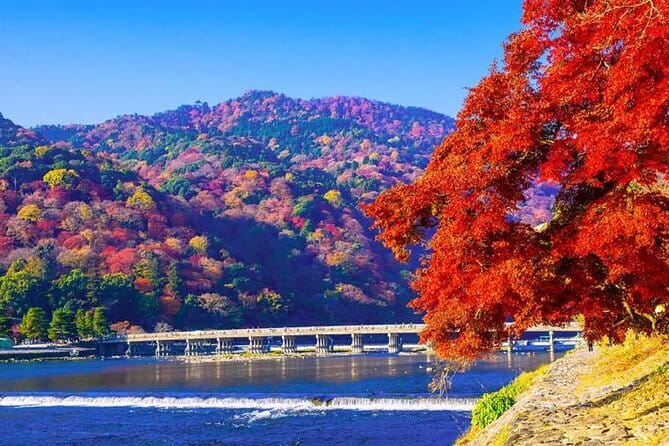 Arashiyama Bamboo & "Must See" Gardens with an Amazing Guide - Arashiyama, paced for real understanding