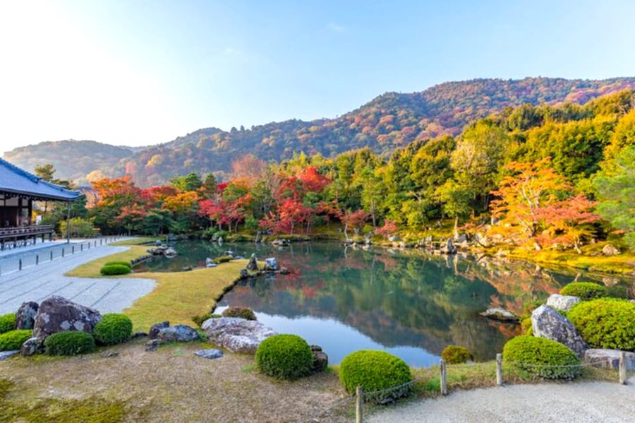 Arashiyama Bamboo, Temple, Monkeys, or Secret Sake Brewery - Iwatayama Monkey Park: steep hike, big payoff