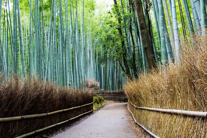Arashiyama from Kyoto: Private & Personalized with a Local Guide - Bamboo Grove timing and the reality of a crowd