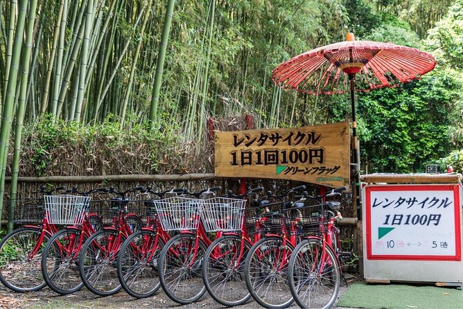Arashiyama from Kyoto: Private & Personalized with a Local Guide - Monkey Park Iwatayama: how to enjoy macaques without turning it into chaos