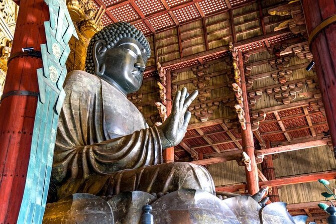 Arashiyama & Nara Highlights: One-Day Private Tour Adventure - Meet-up flow in Kyoto: start at 09:00, finish around 19:00