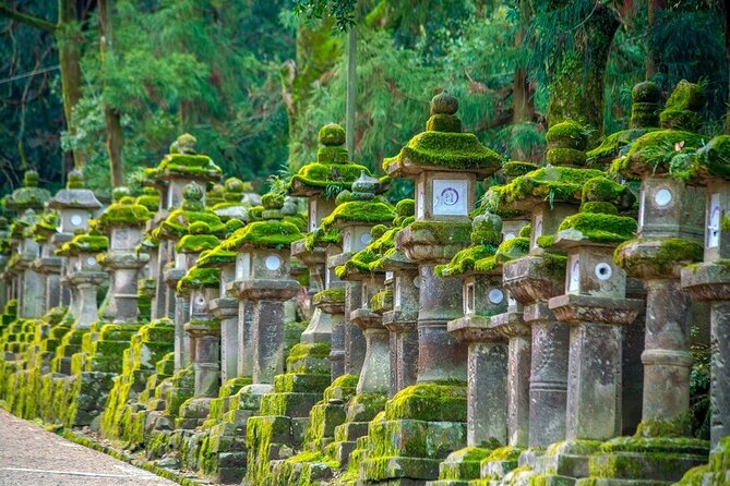 Arashiyama & Nara Highlights: One-Day Private Tour Adventure - Arashiyama at 10:00: bamboo forest plus Tenryu-ji garden moments