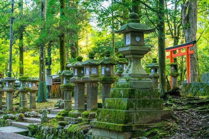 Arashiyama & Nara Highlights: One-Day Private Tour Adventure - The drive to Nara and the deer park payoff at 14:30