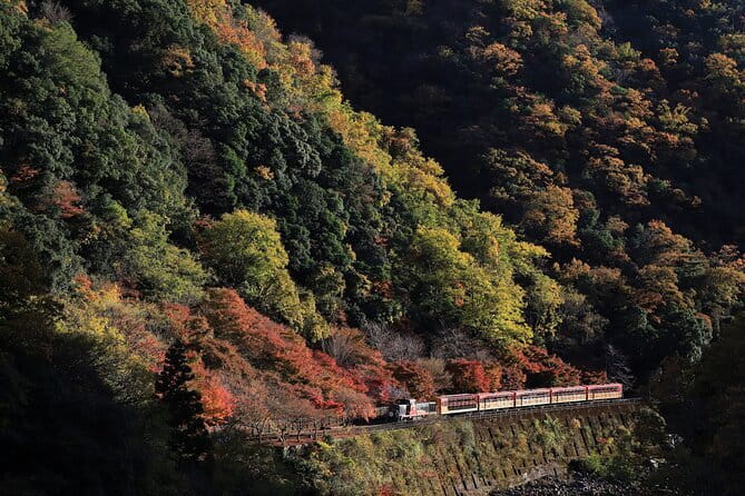 Arashiyama Walking Tour with Optional Sagano Romantic Train Ride - Key highlights at a glance