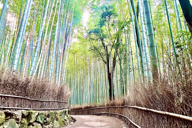 Bamboo Grove Temple and Garden Views Tour - Key highlights you should care about