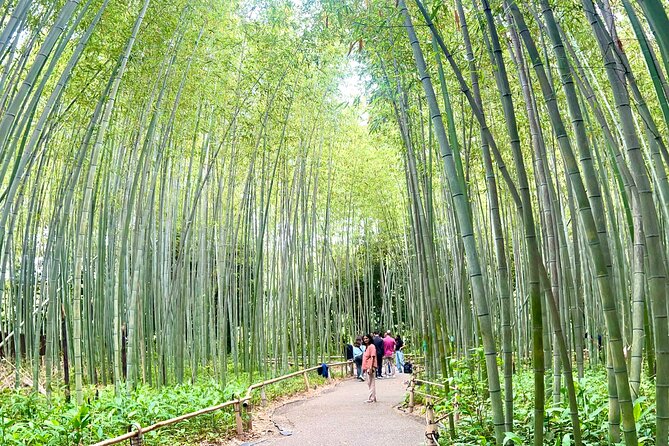 Bamboo Grove Temple and Garden Views Tour - Price and what’s actually included in that $60
