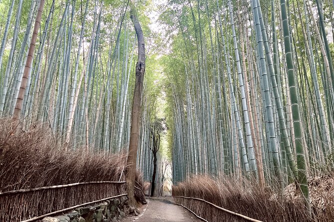 Bamboo Grove Temple and Garden Views Tour - Tenryu-ji Temple gardens: UNESCO Zen, pond, stones, and quiet time