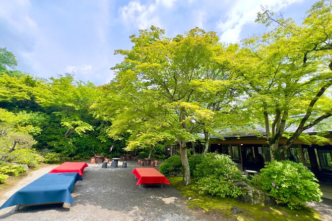 Bamboo Grove Temple and Garden Views Tour - Arashiyama Bamboo Forest again: why the second bamboo moment works