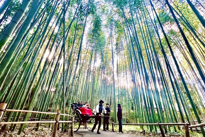 Bamboo Grove Temple and Garden Views Tour - From Kyoto Station to Arashiyama: the simple logistics that save your day