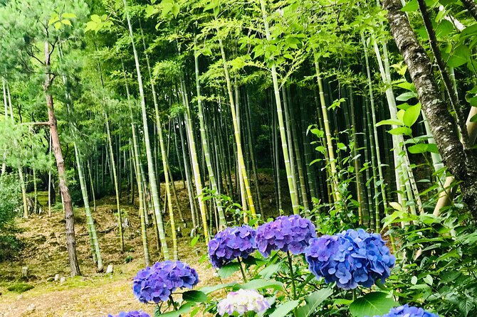 Bamboo LED Lantern Making Experience in Kyoto Arashiyama - The one drawback to plan around: bamboo moisture and mold