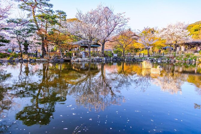 Beautiful Photography Tour in Kyoto - Small-Group Kyoto Photos With a Real Photographer Guide