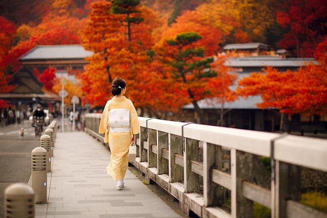 Best of Kyoto and Nara Highlights Day Tour from Osaka (7~9 spots) - Wakakusayama views in the Arashiyama route, or Byodoin and Uji on Fushimi days