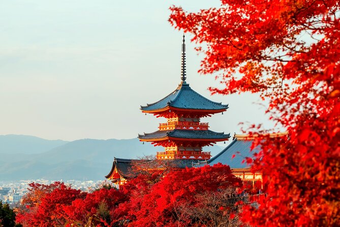 Best of Kyoto and Nara Highlights Day Tour from Osaka (7~9 spots) - Nishiki Market and Kiyomizu-dera: finish with food and views