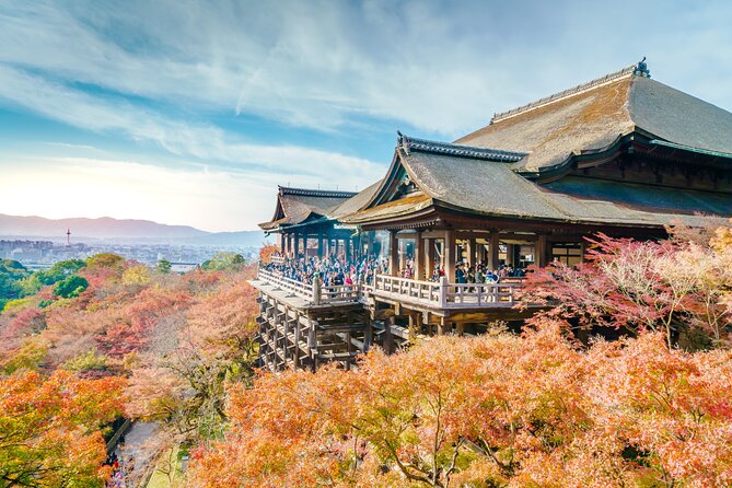 Best of Kyoto and Nara Highlights Day Tour from Osaka (7~9 spots) - Kasuga Grand Shrine and Nara Park: start with the soul of Nara
