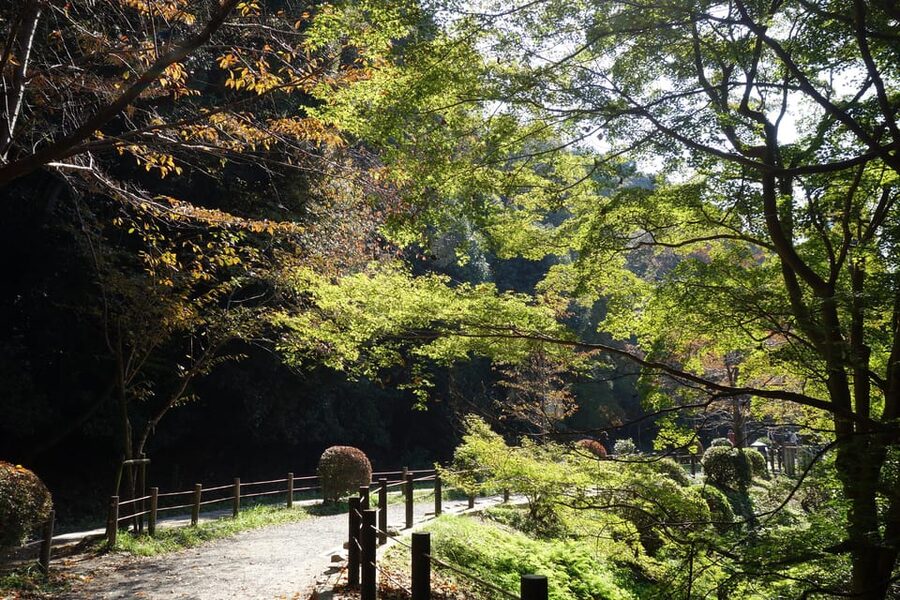 Best of Kyoto: Ginkakuji & Path of Philosophy E-Bike Tour - Ginkaku-ji Zen gardens: the quiet stop that sets the tone