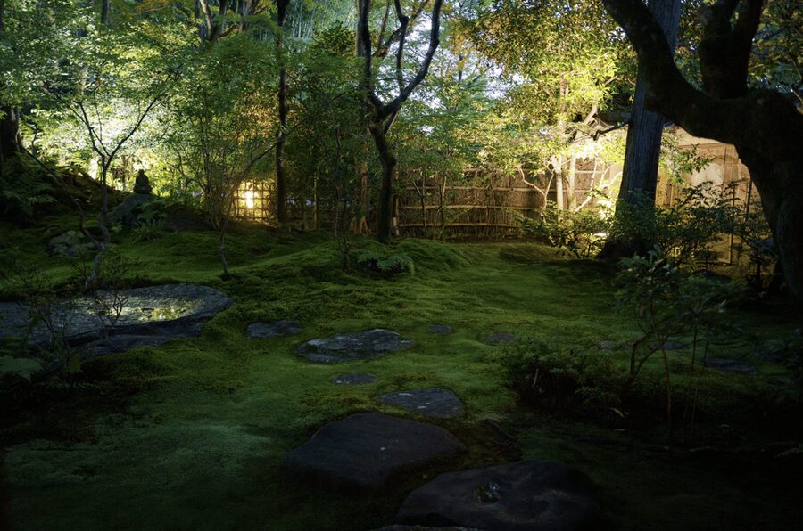 Candlelit Zen: Evening Meditation at Kyoto’s Secret Temple - Candlelight details you will notice once you sit still