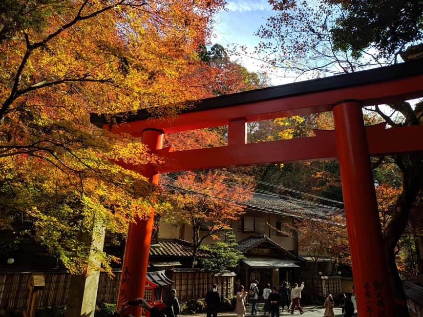Craig's Kyoto Private Luxury Alphard Tour / The Early Riser - Comfort Matters More Than You Think in Kyoto