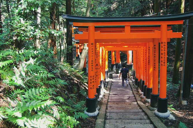 Crowd-Free Kyoto: Fushimi Inari, Nijo Castle & Kinkaku-ji - Meeting at Kyoto Station, then finishing at Kinkaku-ji